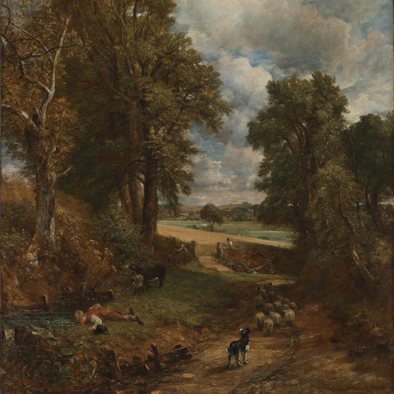 The Cornfield