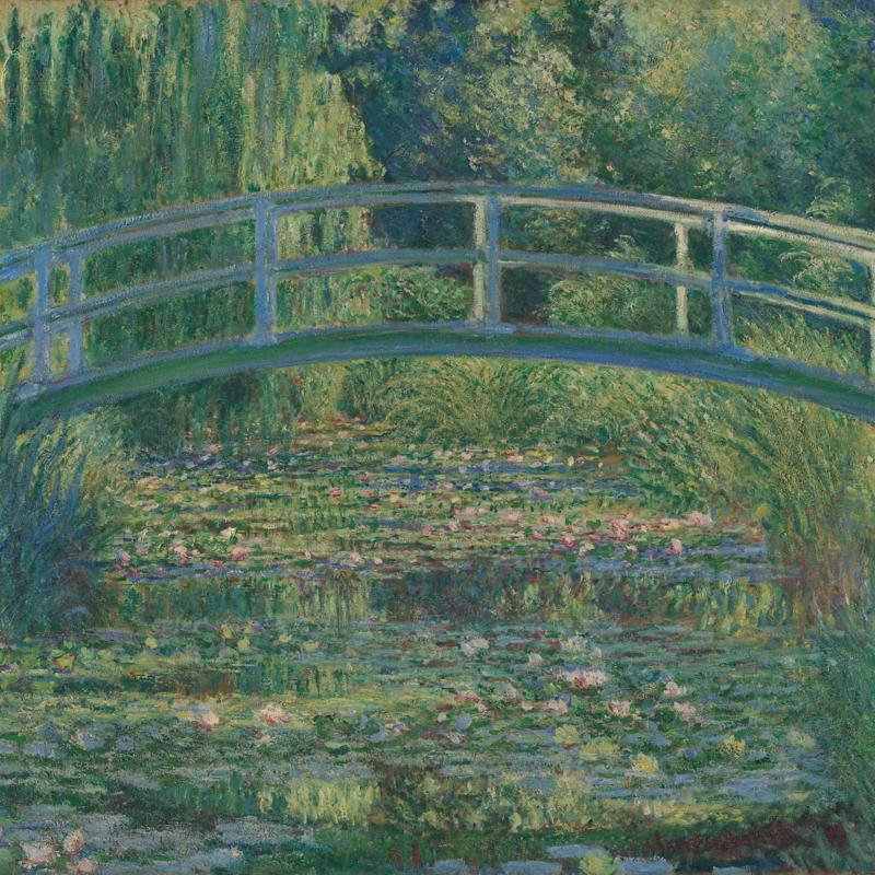 The Water-Lily Pond