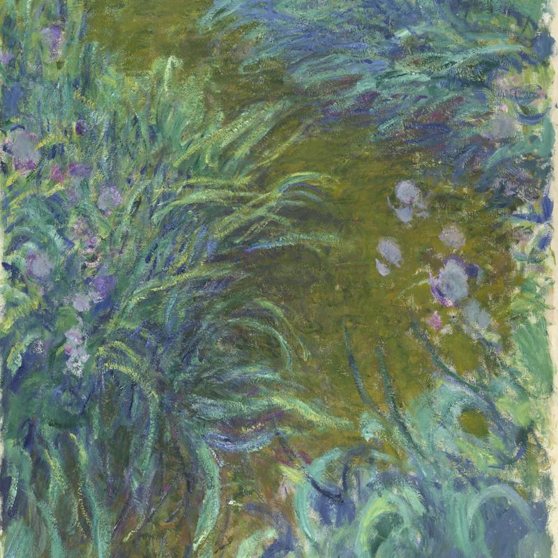 Irises