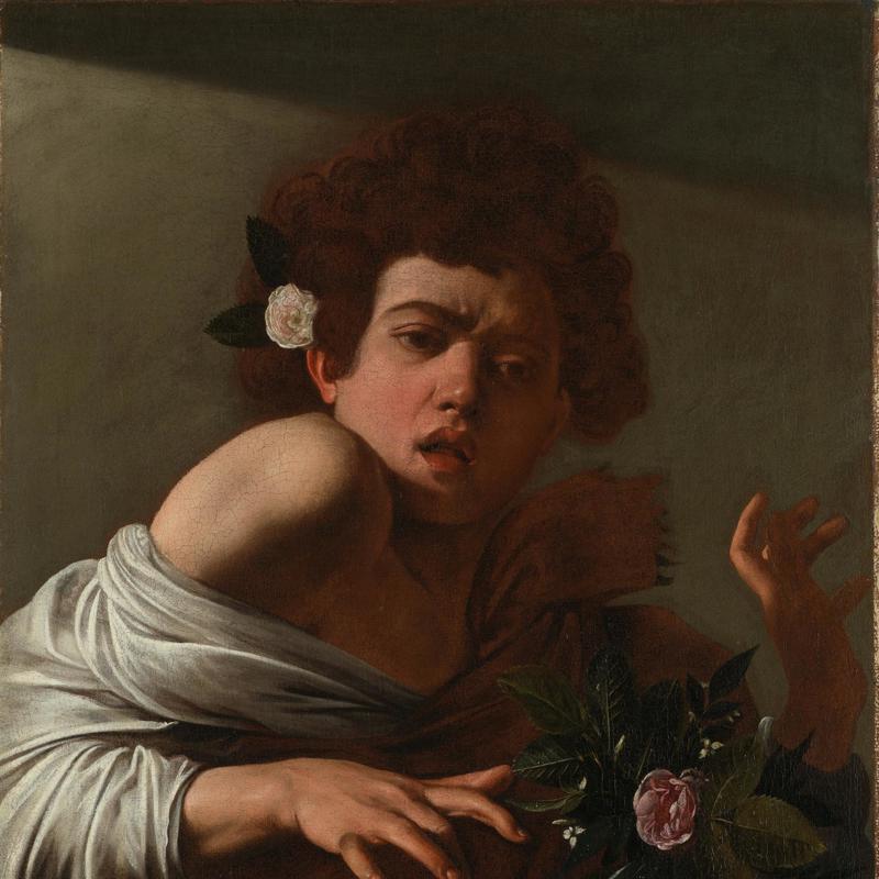 Boy bitten by a Lizard